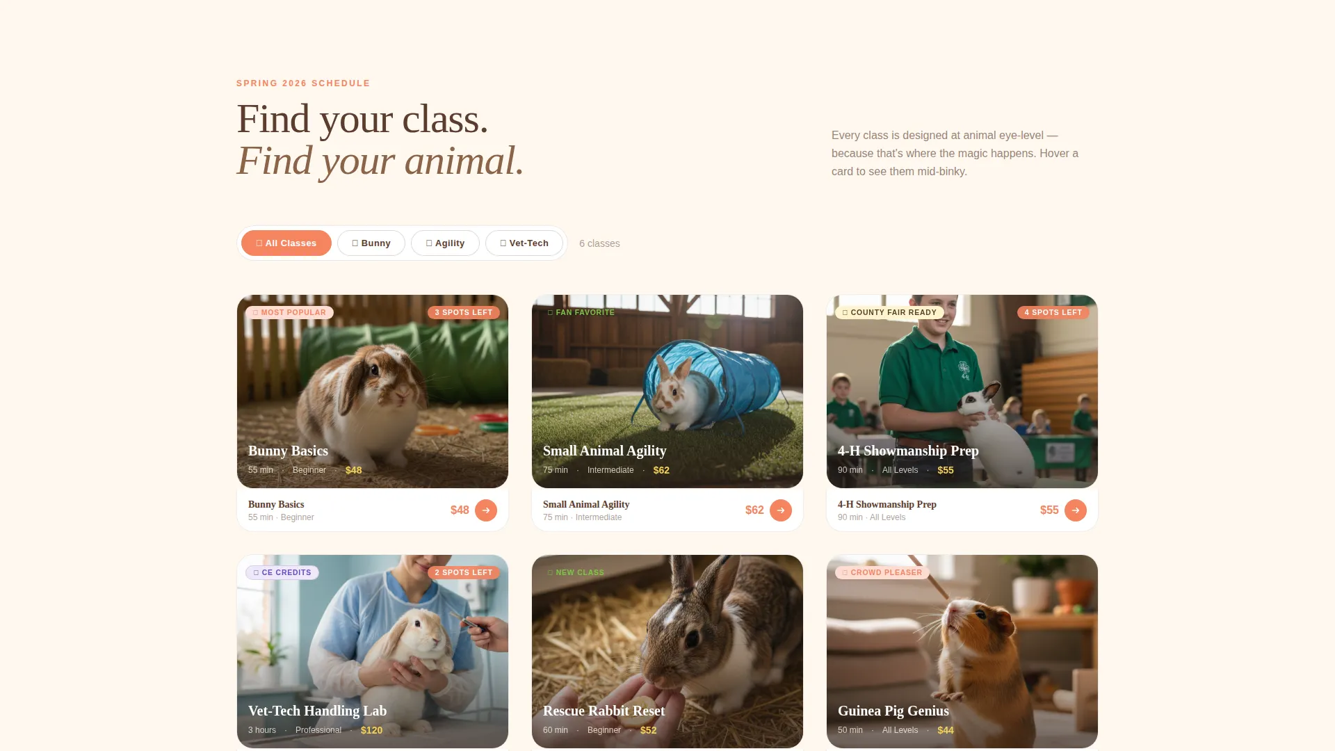 Rabbit & Small Animal Training School Landing Page