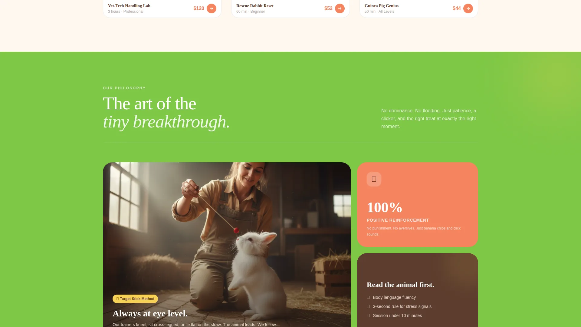 Rabbit & Small Animal Training School Landing Page