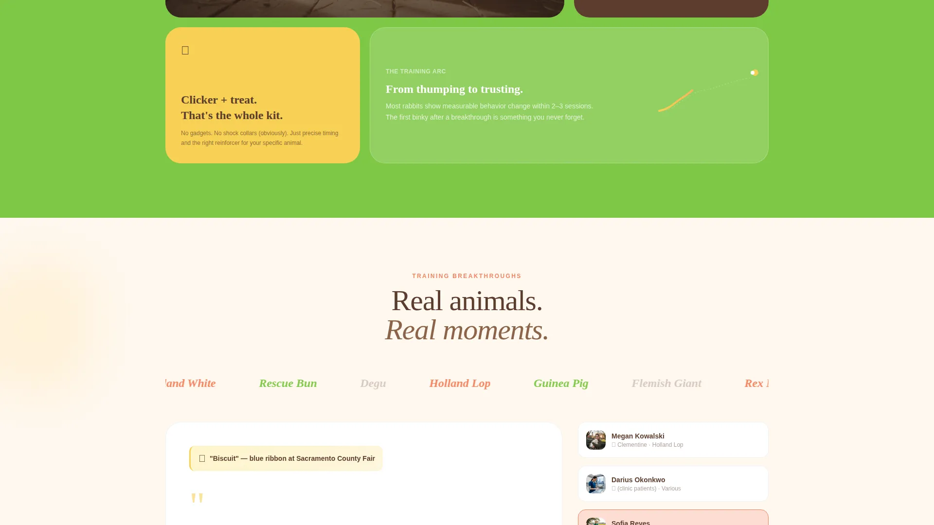 Rabbit & Small Animal Training School Landing Page