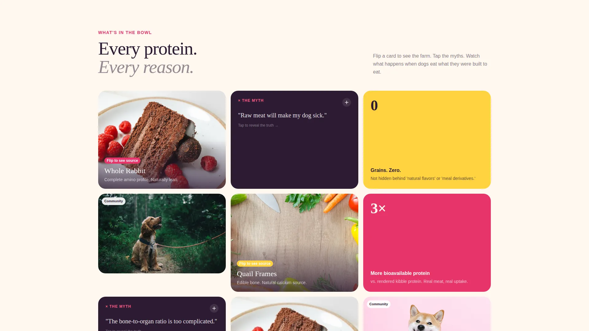 Raw Dog Food Brand Landing Page Template