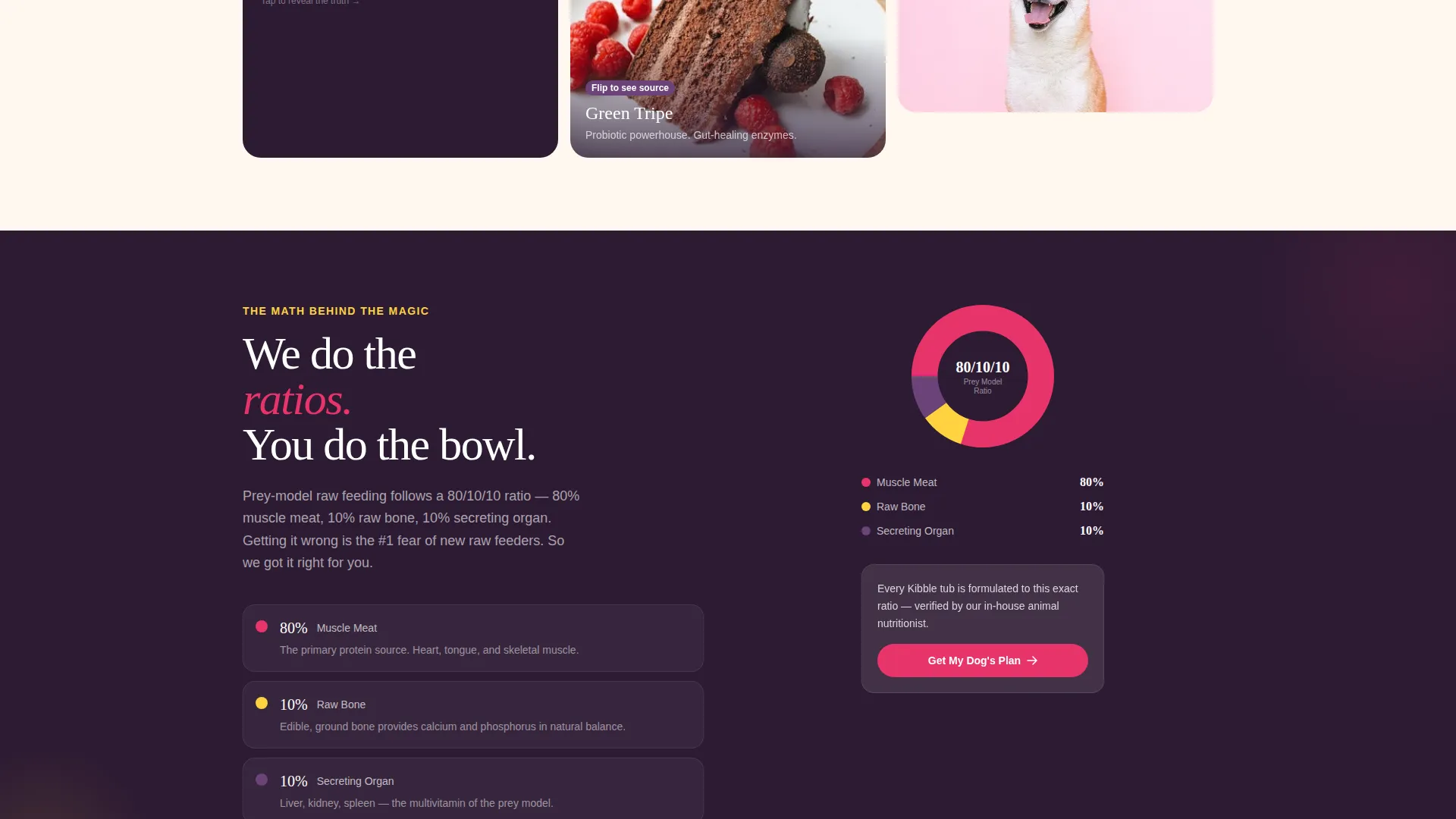 Raw Dog Food Brand Landing Page Template