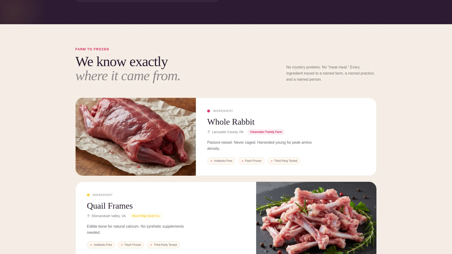 Raw Dog Food Brand Landing Page Template