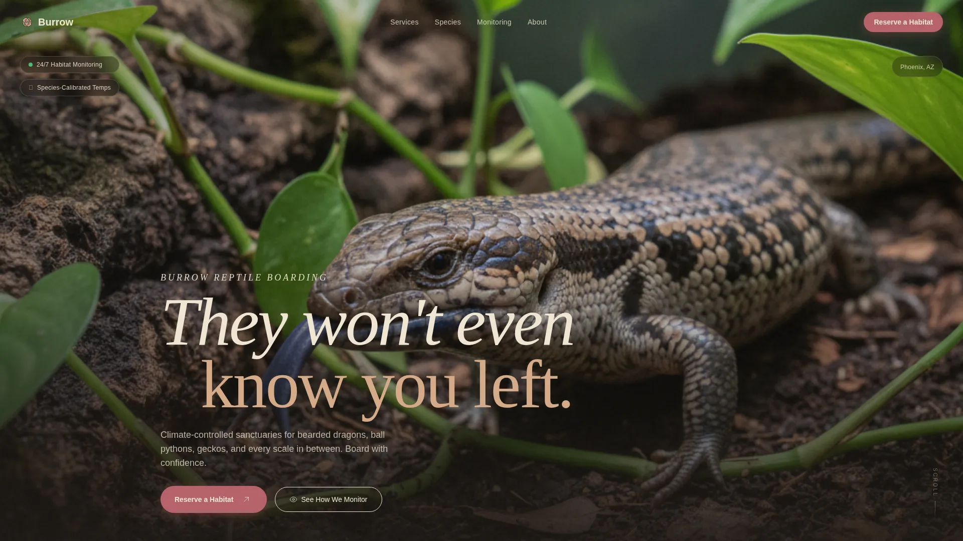Reptile Boarding Landing Page Template