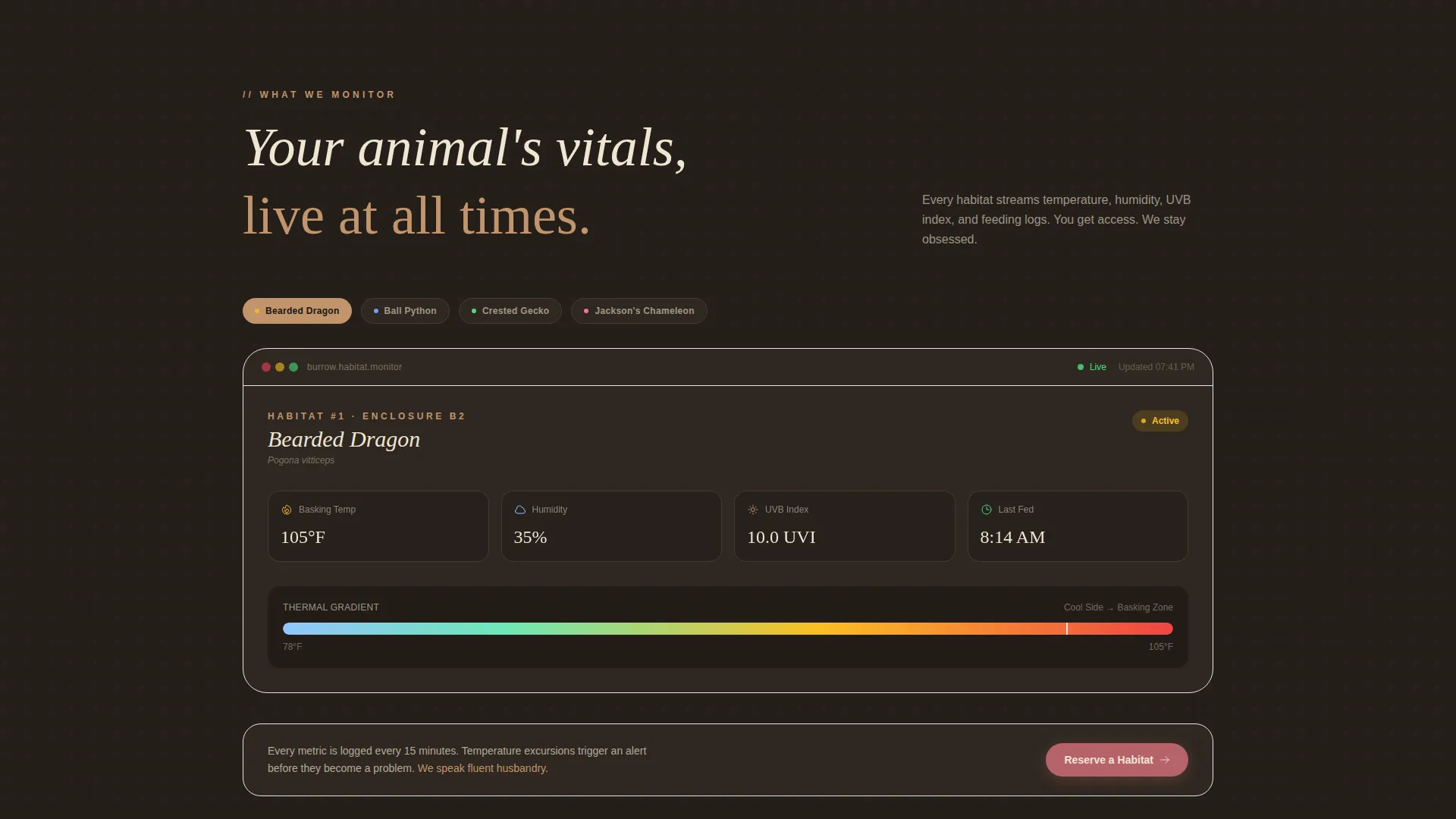 Reptile Boarding Landing Page Template