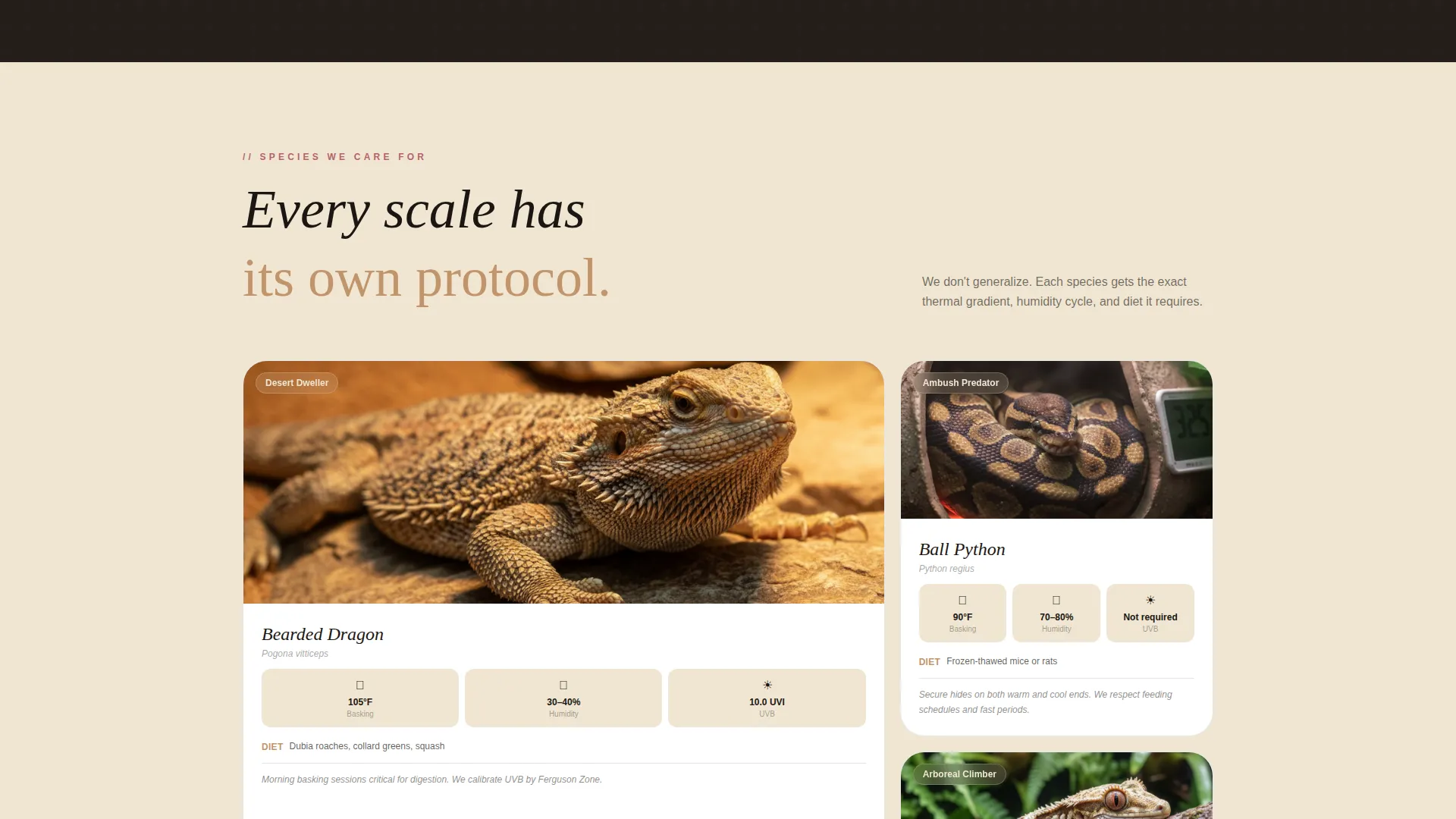 Reptile Boarding Landing Page Template