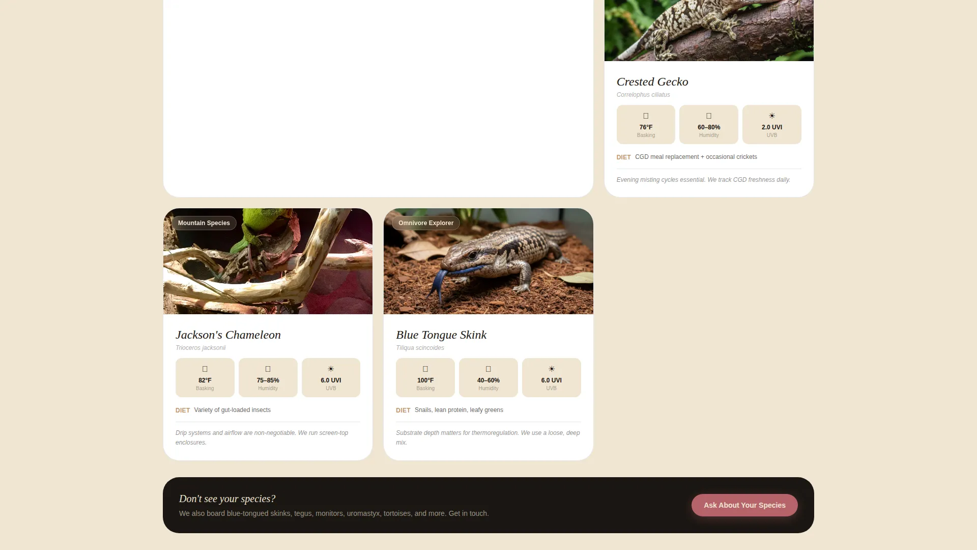 Reptile Boarding Landing Page Template