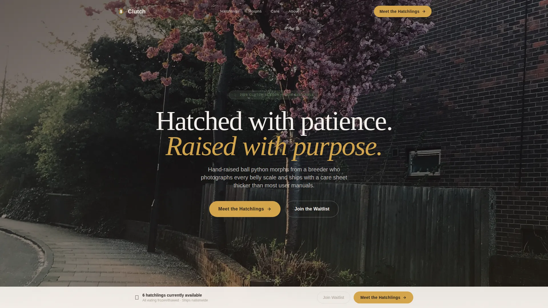 Reptile Breeder Landing Page Template