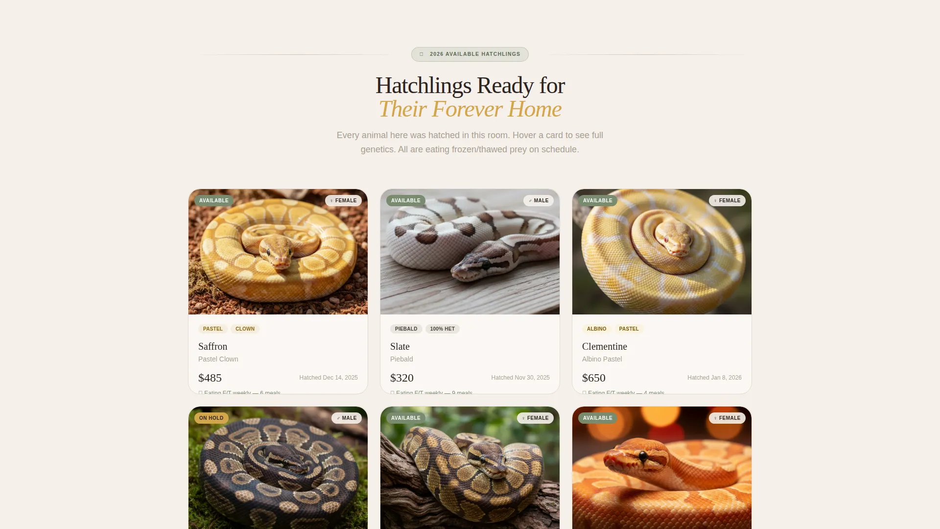 Reptile Breeder Landing Page Template