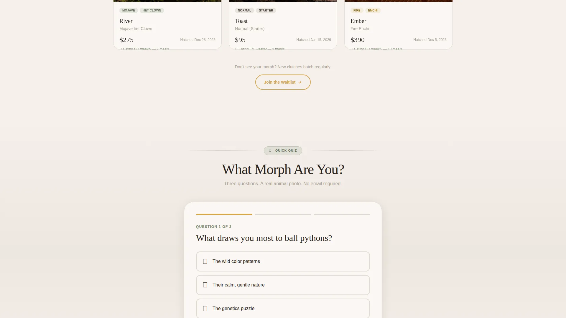 Reptile Breeder Landing Page Template