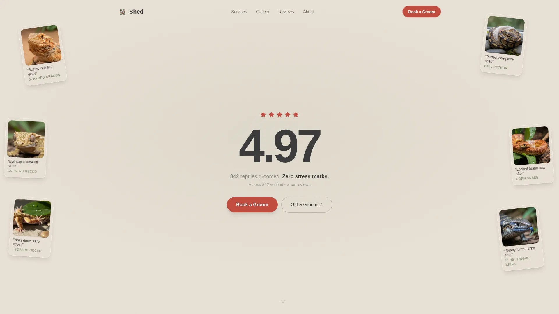 Reptile Grooming Service Landing Page Template