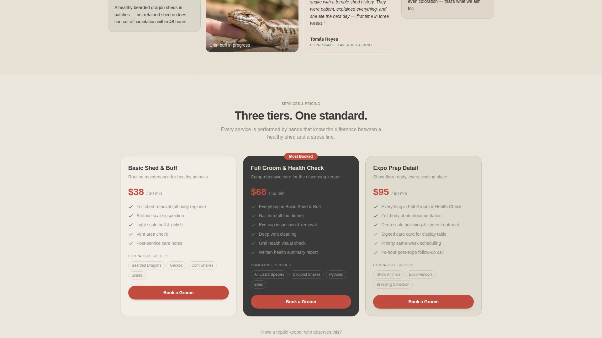 Reptile Grooming Service Landing Page Template