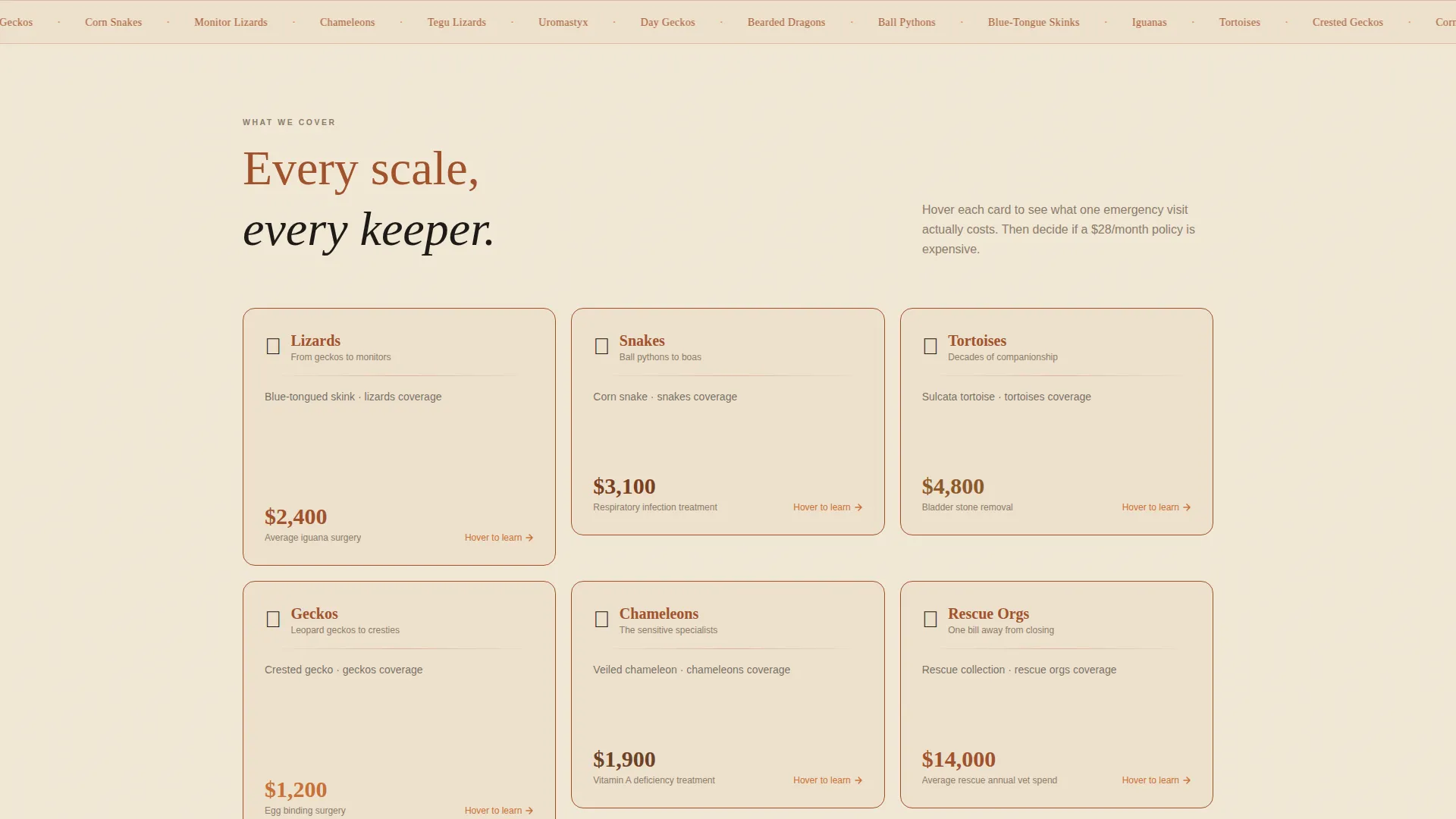 Reptile Insurance Landing Page Template