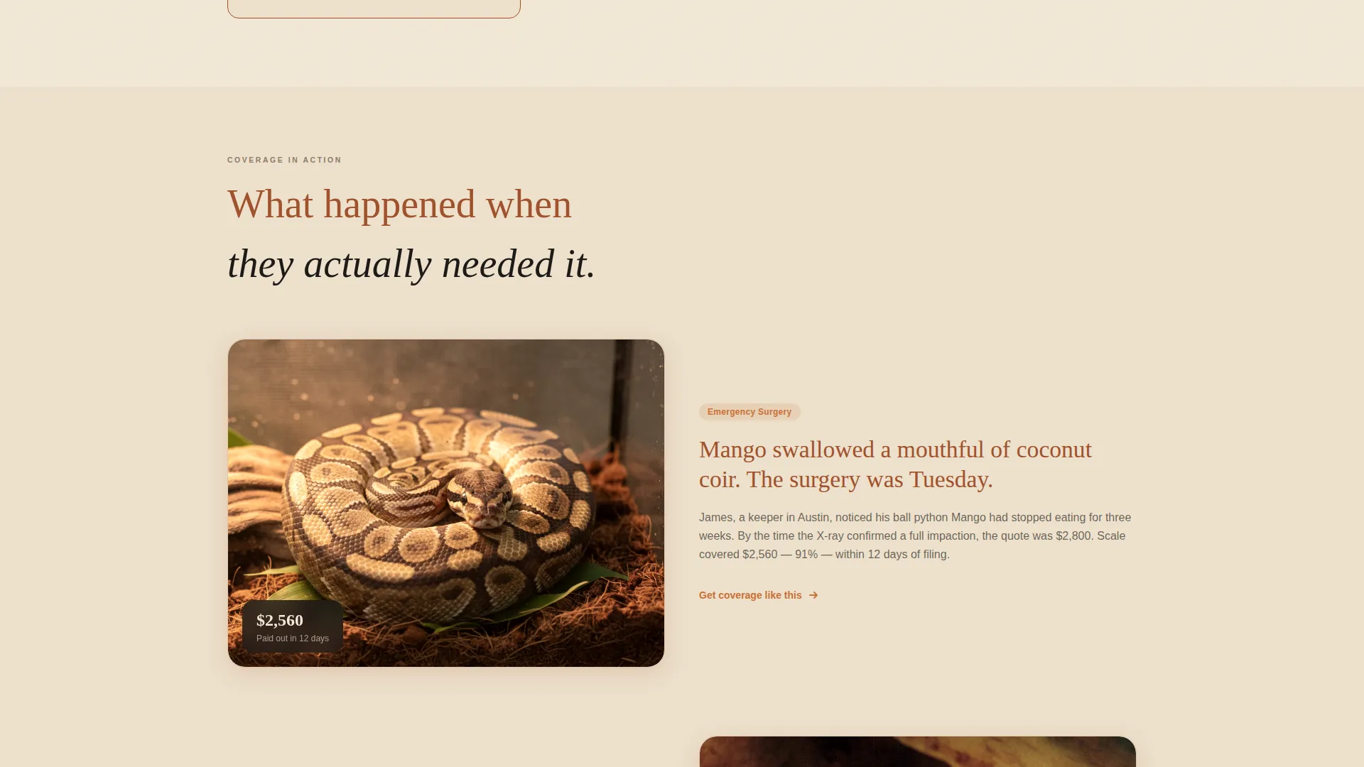 Reptile Insurance Landing Page Template