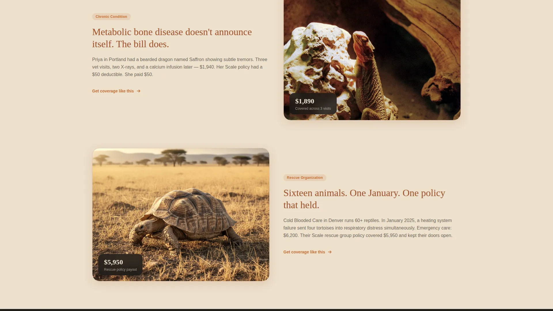 Reptile Insurance Landing Page Template