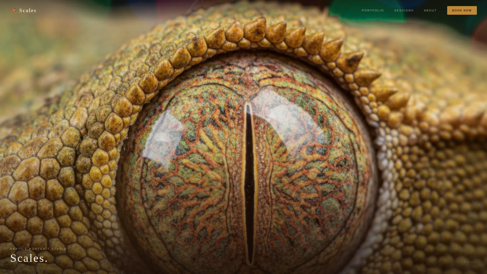 Reptile Photography Service Landing Page Template