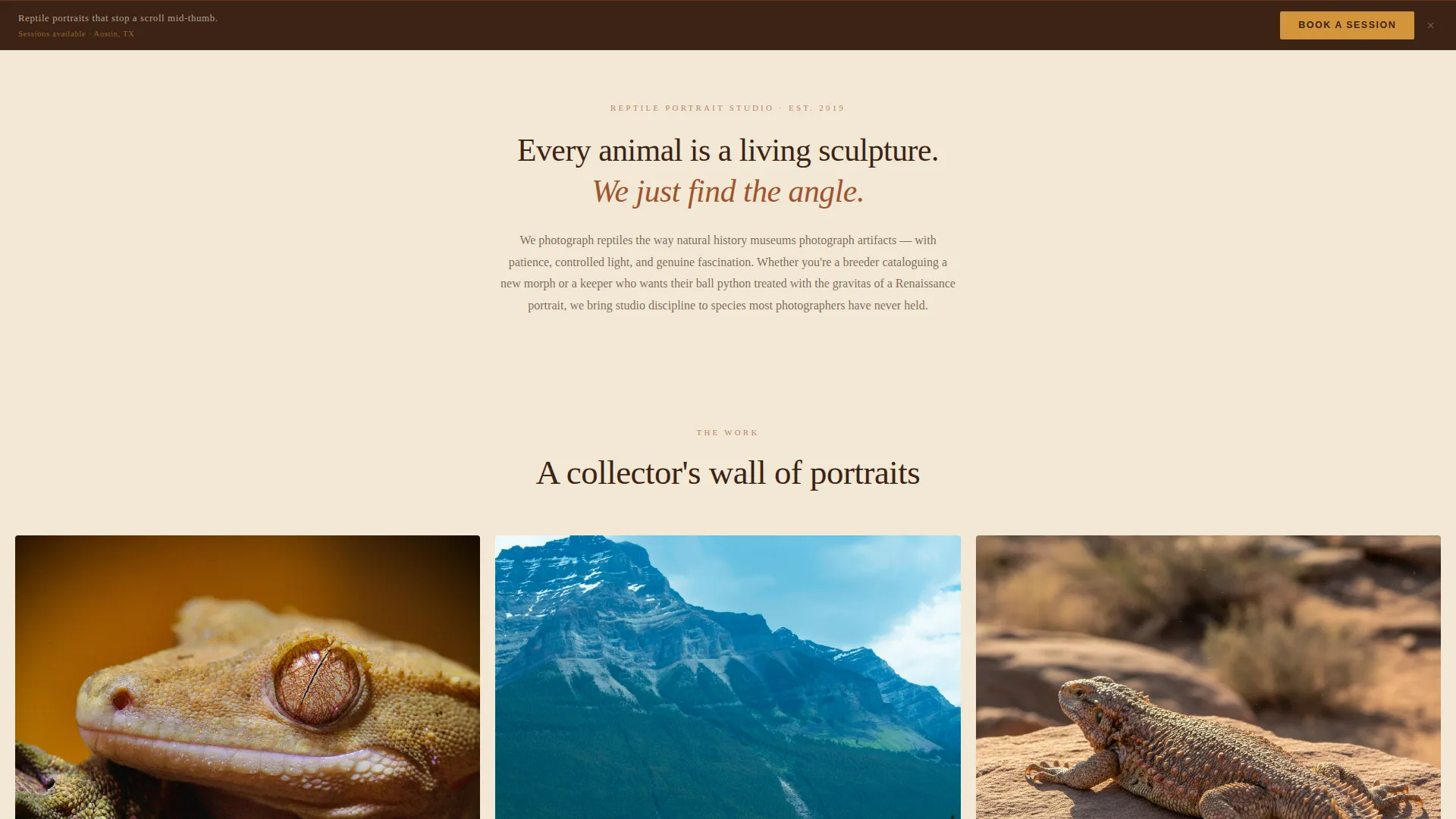 Reptile Photography Service Landing Page Template