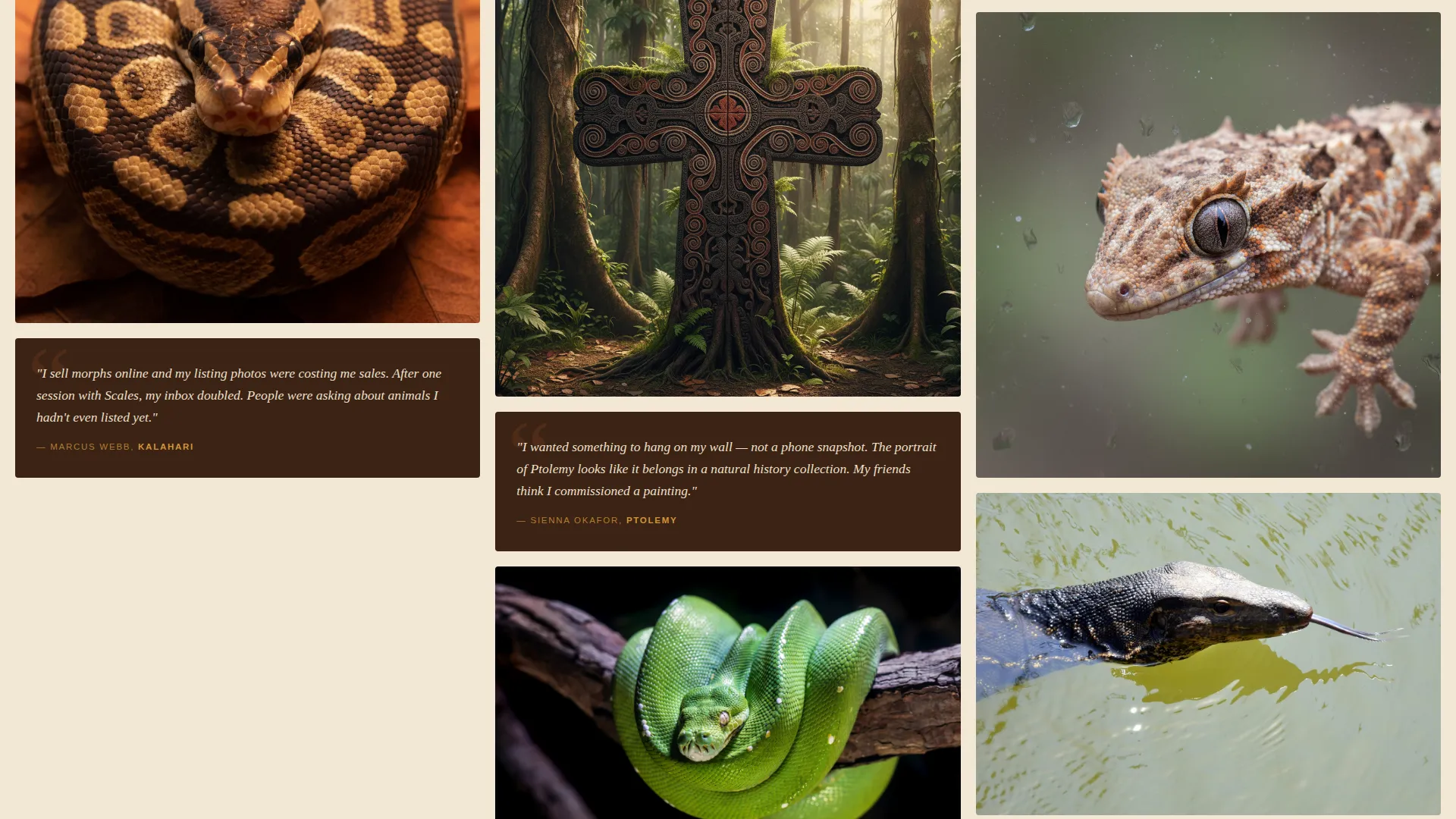 Reptile Photography Service Landing Page Template