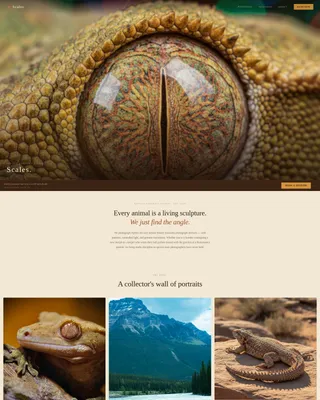 Reptile Photography Service Landing Page Template