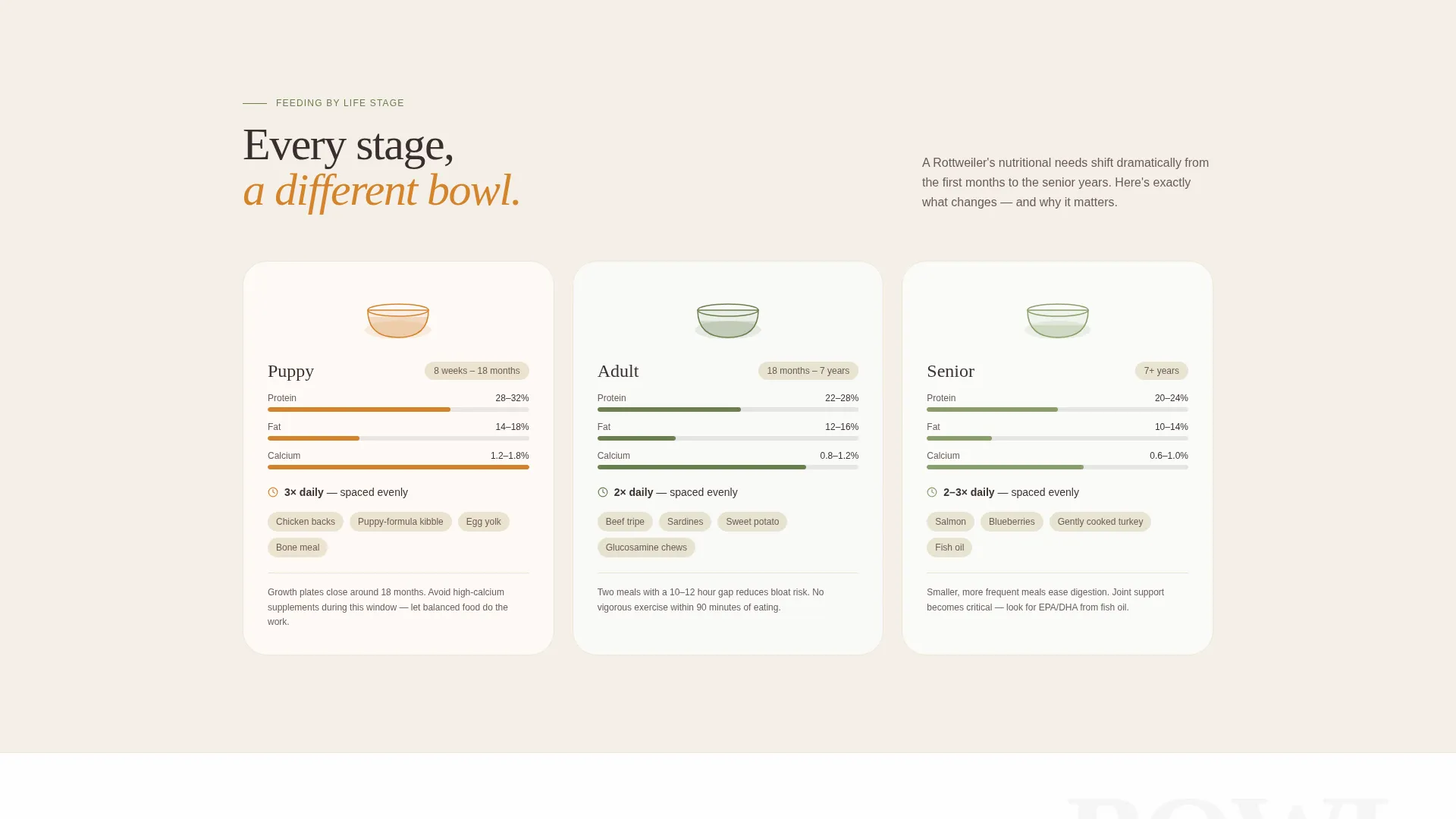 Diet Landing Page Template for Nutrition Guides