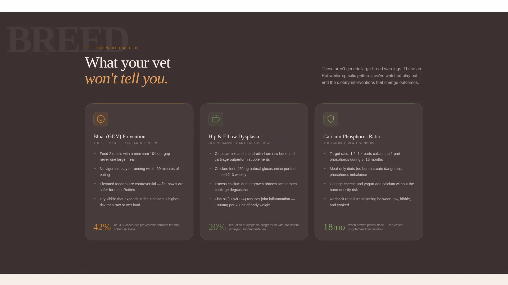 Diet Landing Page Template for Nutrition Guides