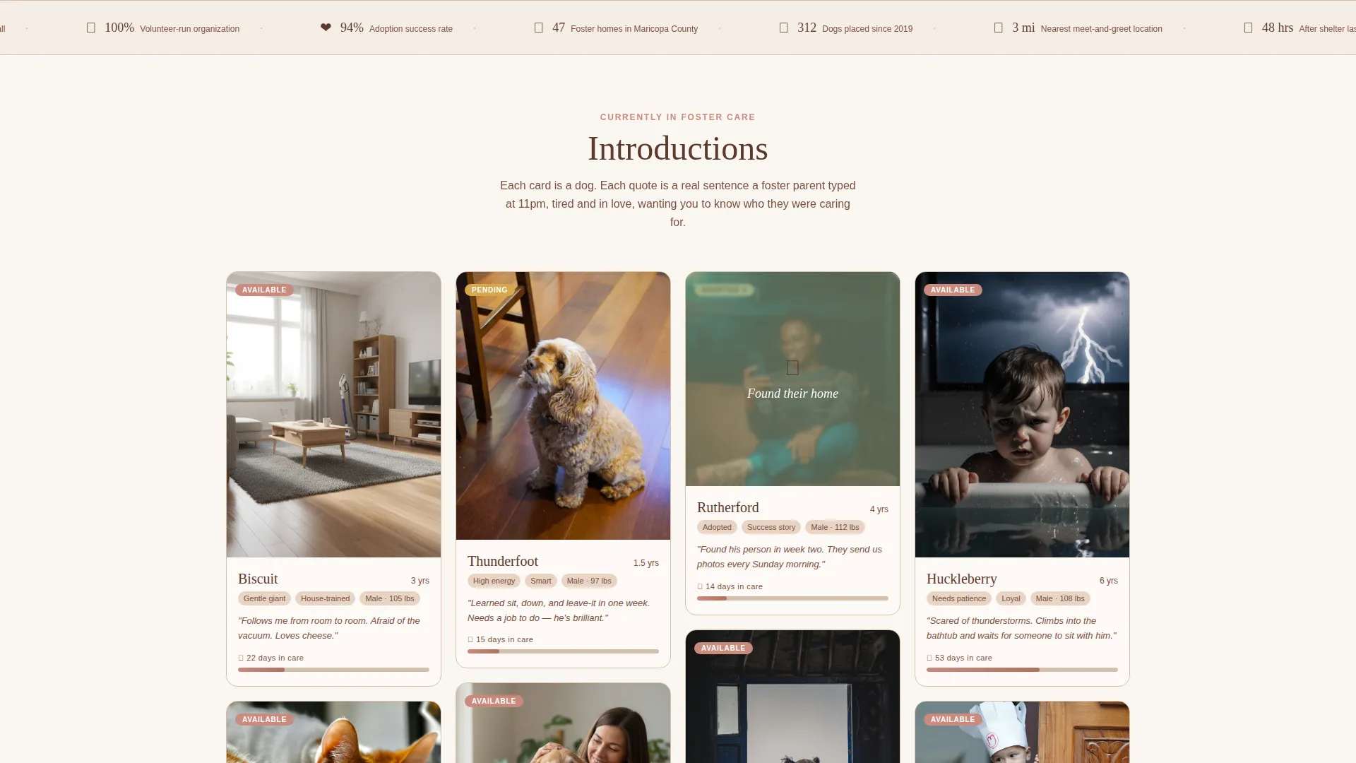 Rottweiler Rescue Adoption Landing Page Template