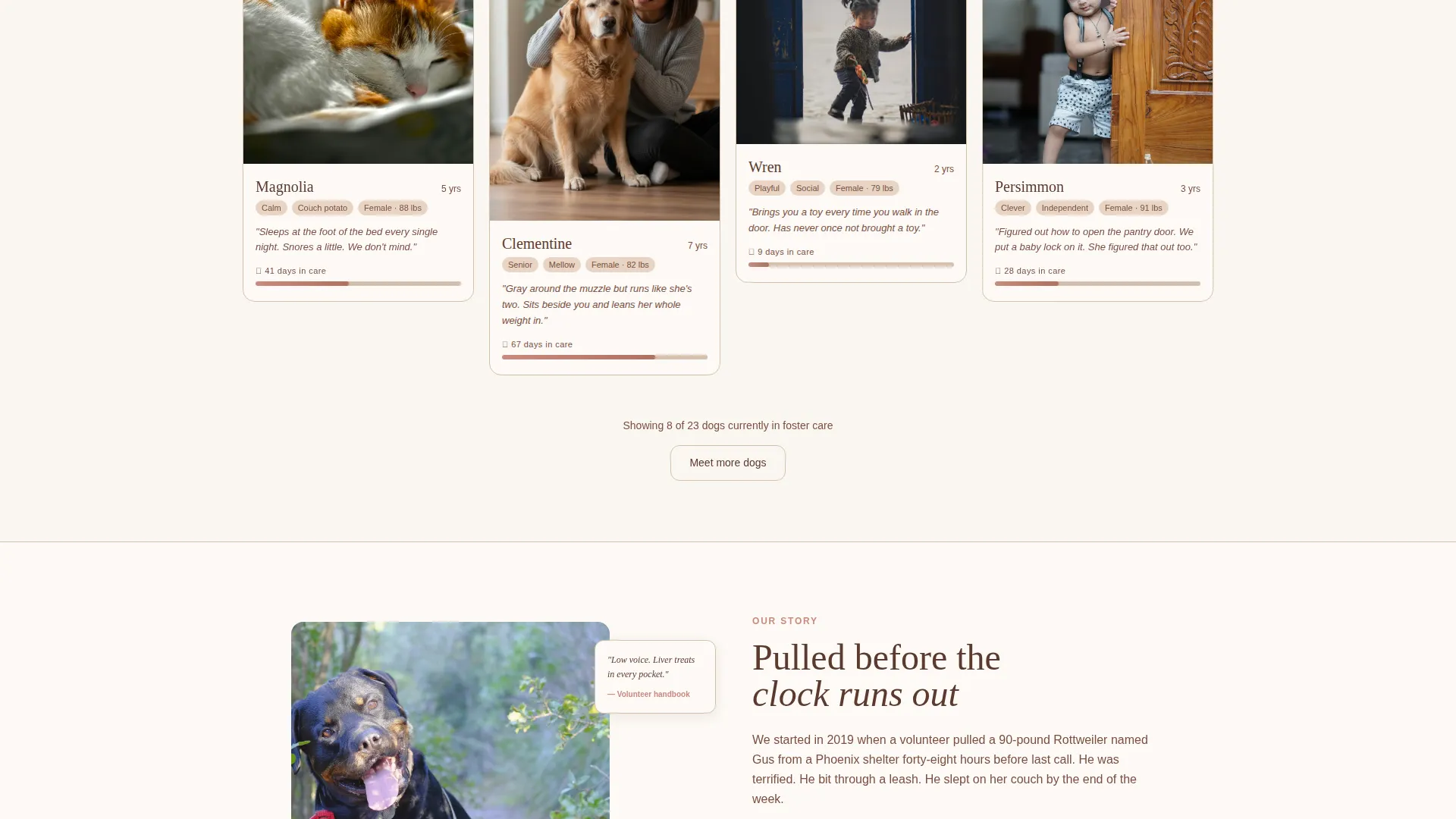 Rottweiler Rescue Adoption Landing Page Template