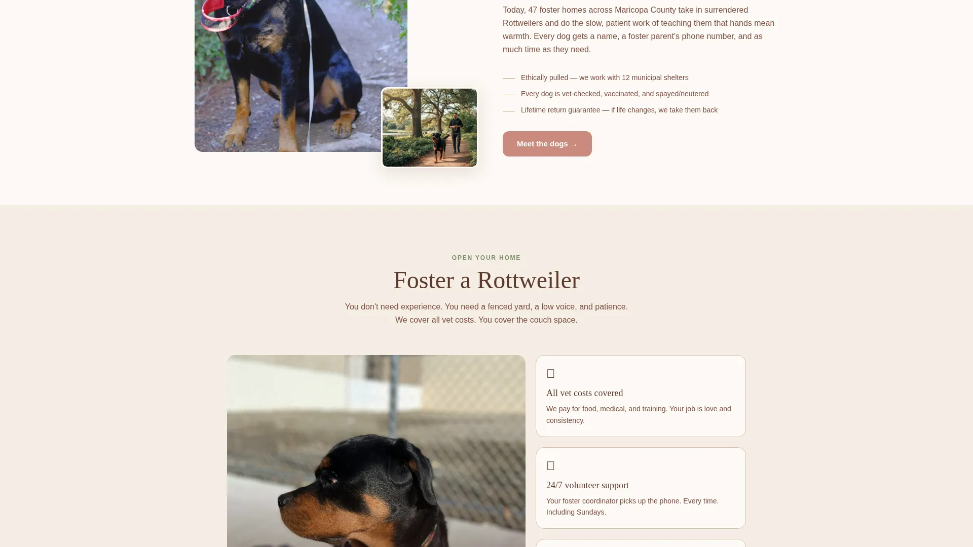 Rottweiler Rescue Adoption Landing Page Template