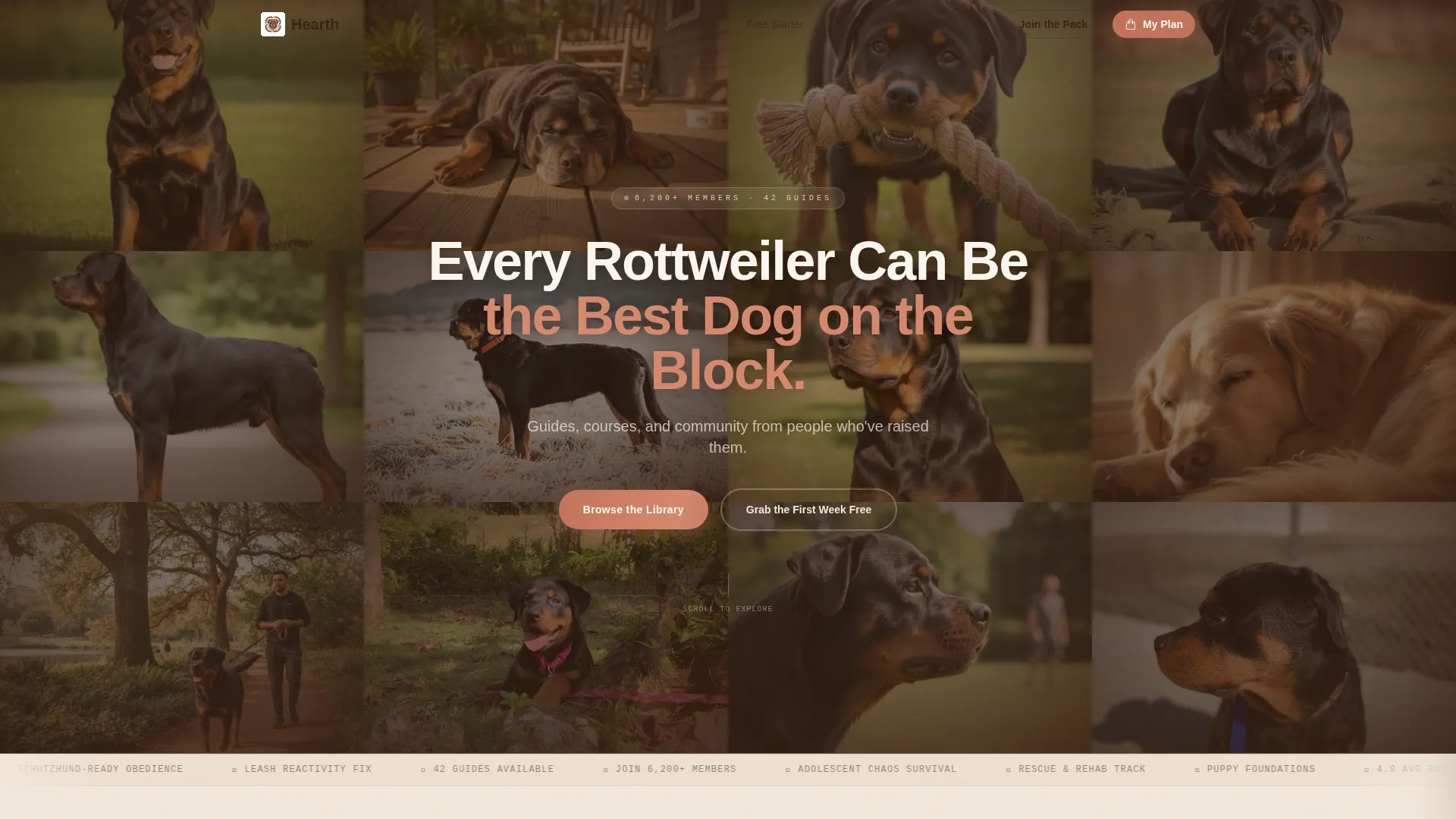 Rottweiler Training Guide Marketplace Landing Page