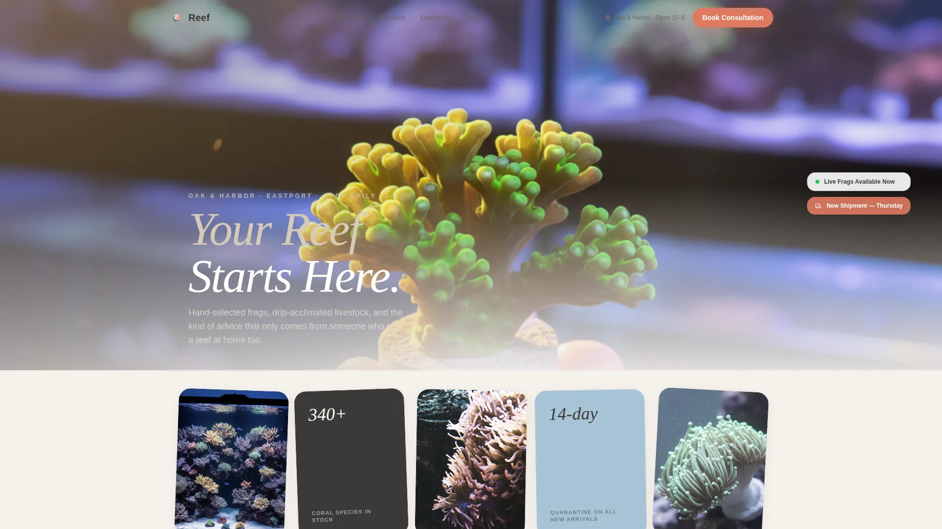 Artisan Saltwater Aquarium Shop Landing Page Template