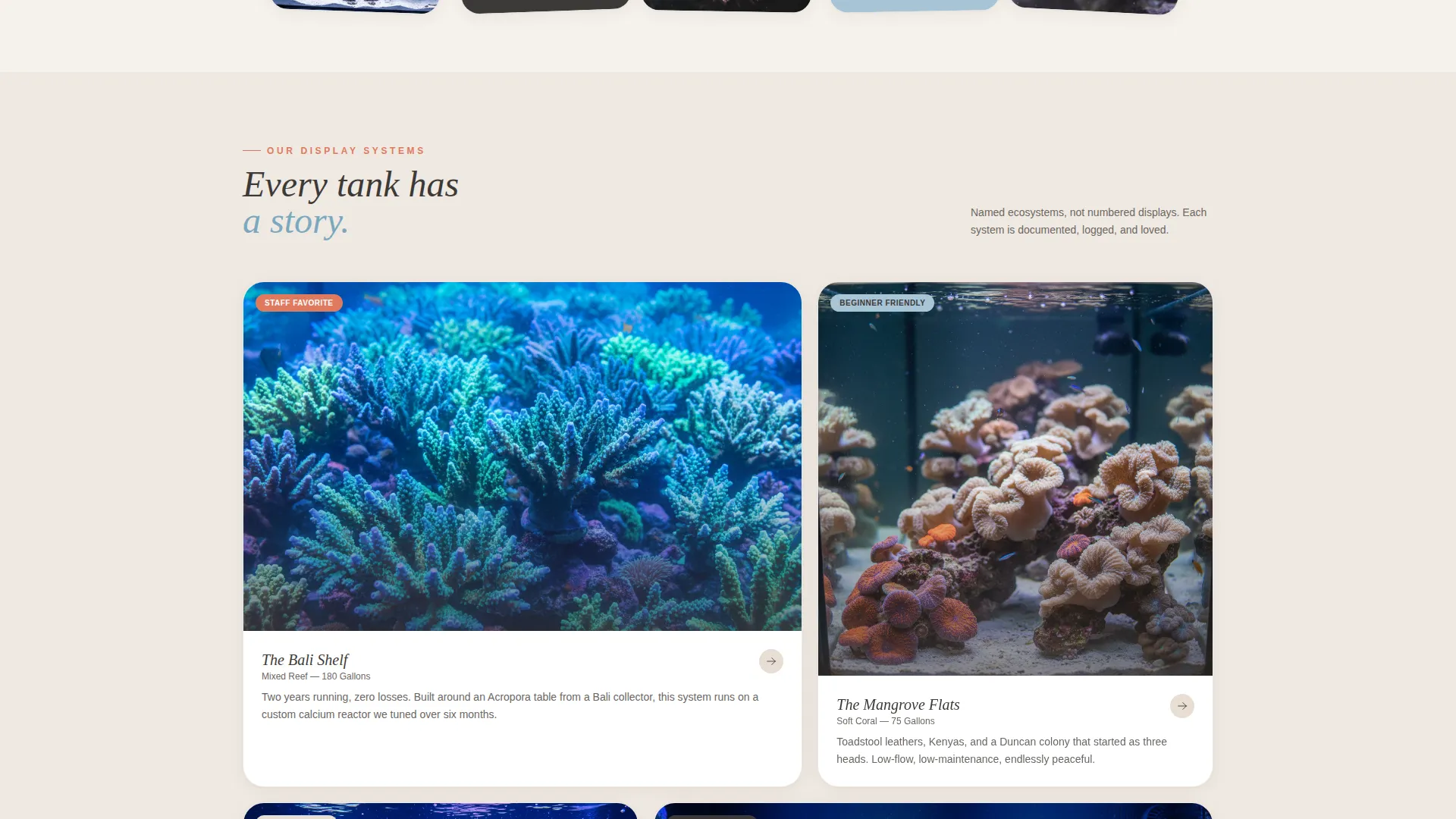 Artisan Saltwater Aquarium Shop Landing Page Template