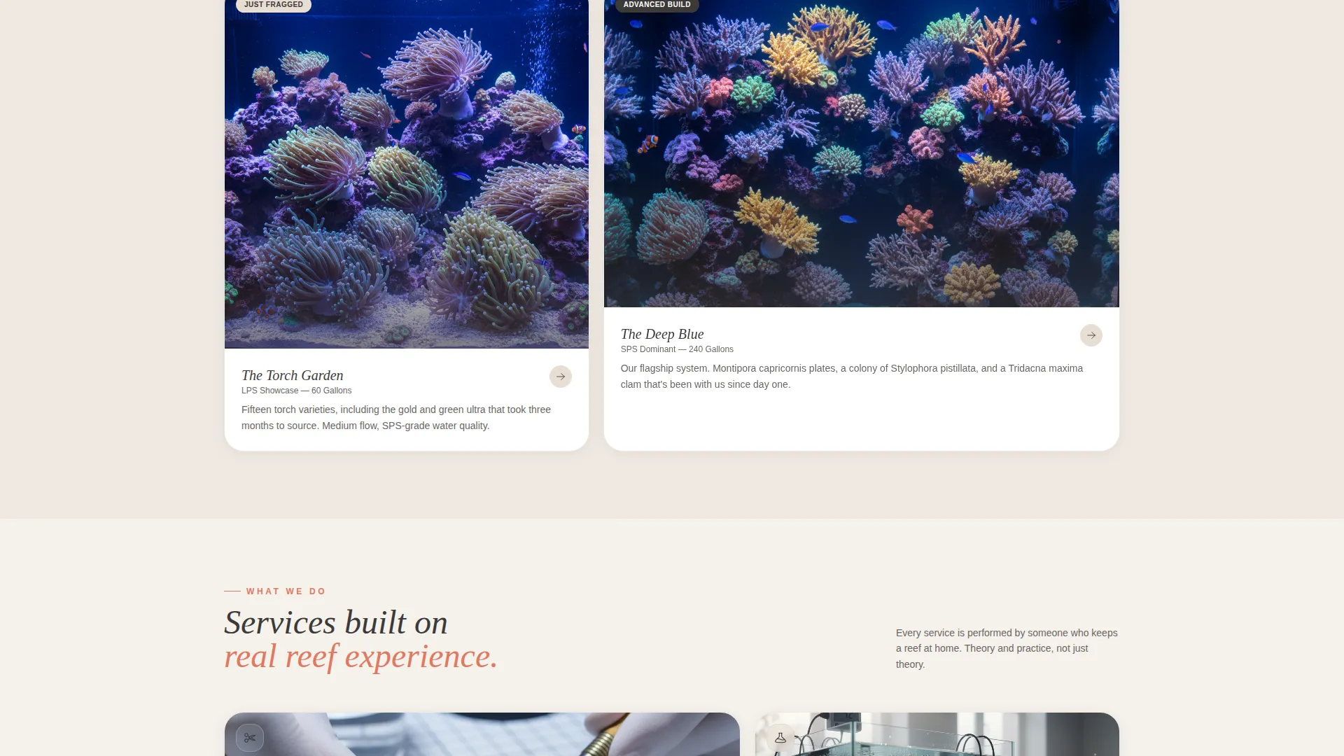 Artisan Saltwater Aquarium Shop Landing Page Template