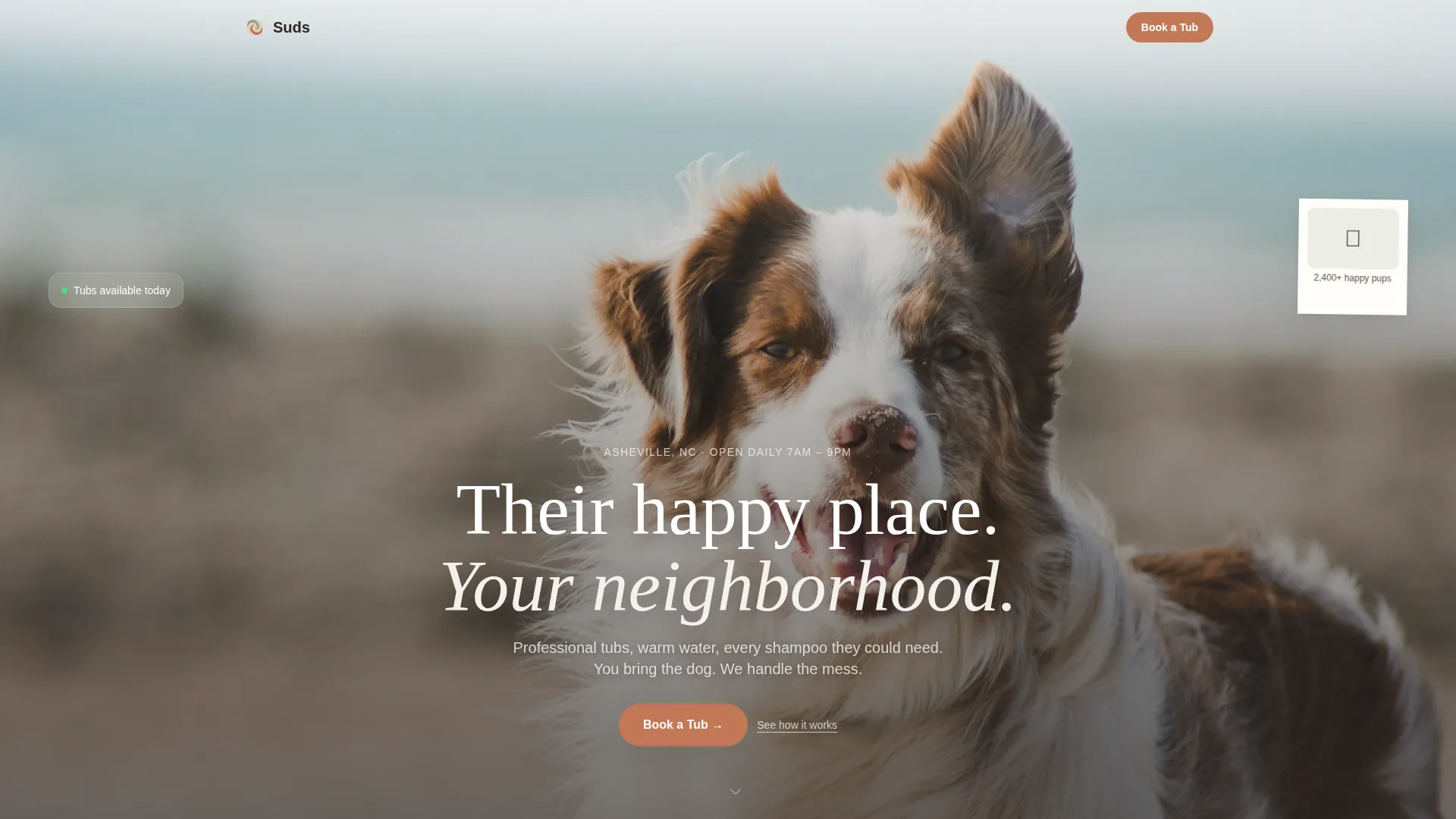 Self-Service Dog Wash Booking Landing Page Template