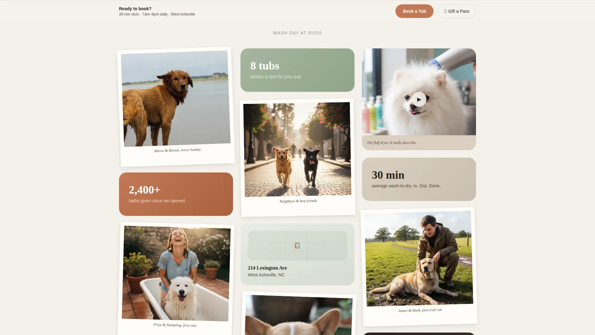 Self-Service Dog Wash Booking Landing Page Template