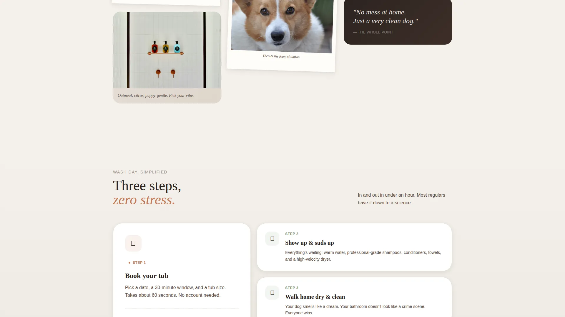 Self-Service Dog Wash Booking Landing Page Template