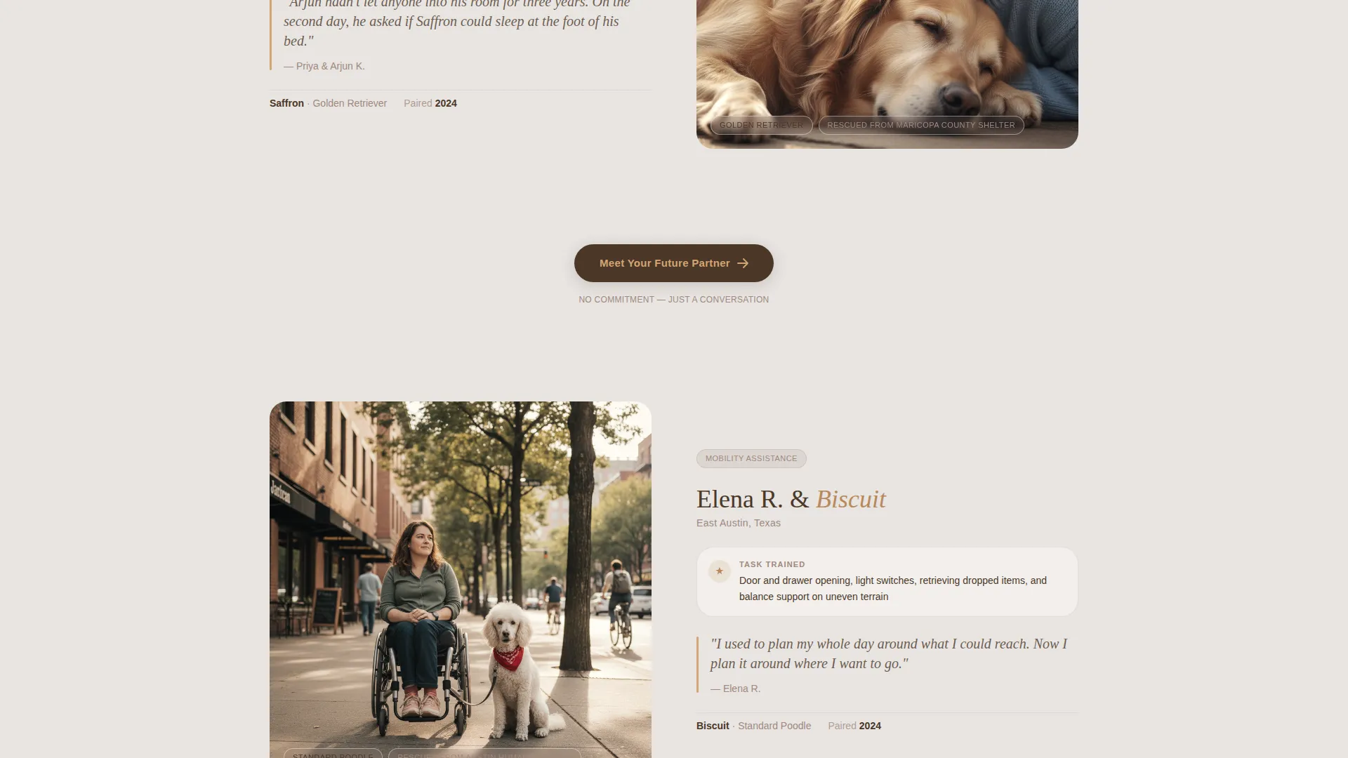 Advanced Pet Training & Behavior Portfolio & Case Study Website Template