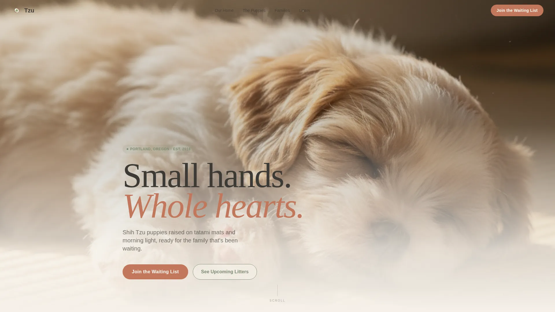 Shih Tzu Breeder Landing Page Template