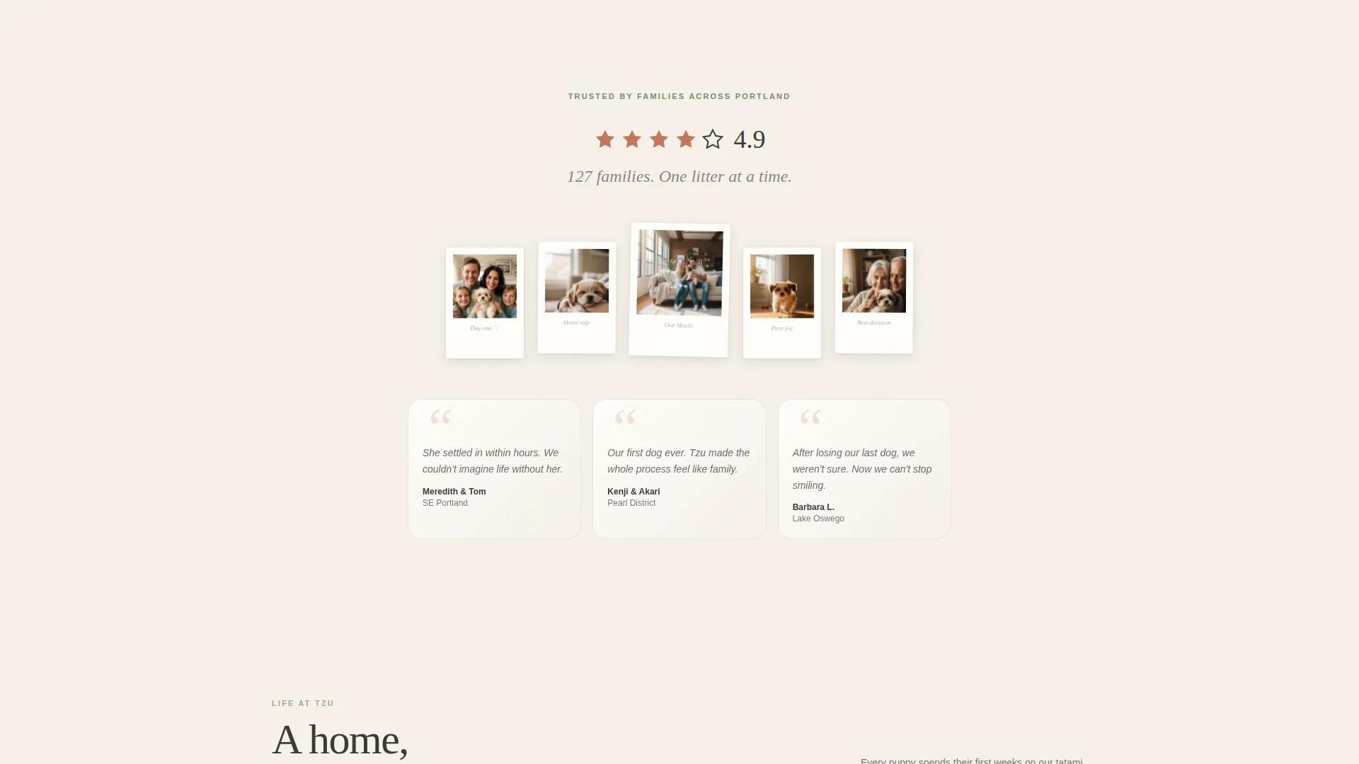 Shih Tzu Breeder Landing Page Template