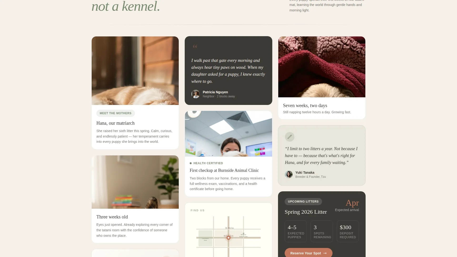 Shih Tzu Breeder Landing Page Template