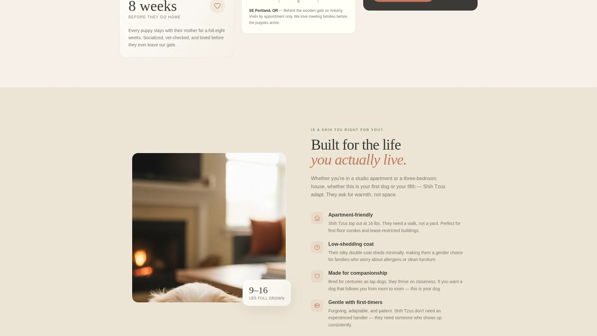 Shih Tzu Breeder Landing Page Template