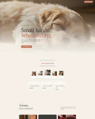 Shih Tzu Breeder Landing Page Template