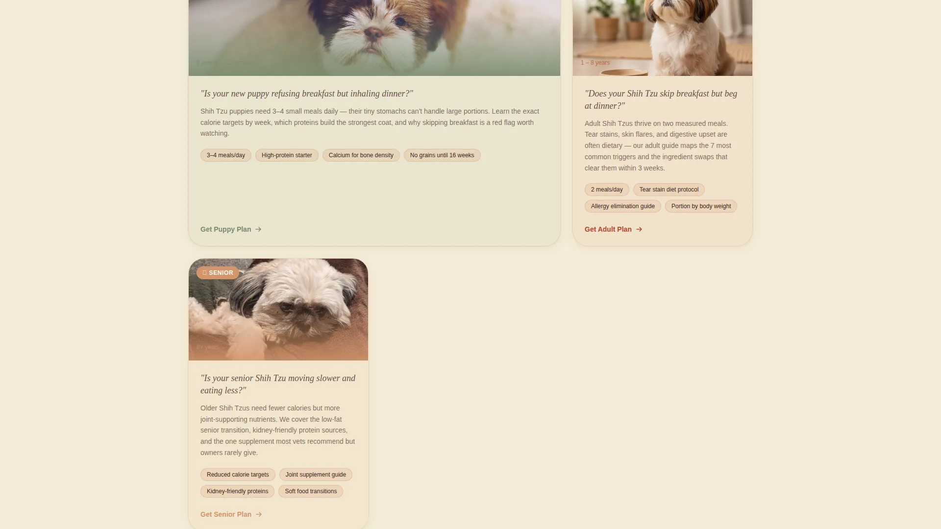 Shih Tzu Diet & Nutrition Landing Page Template