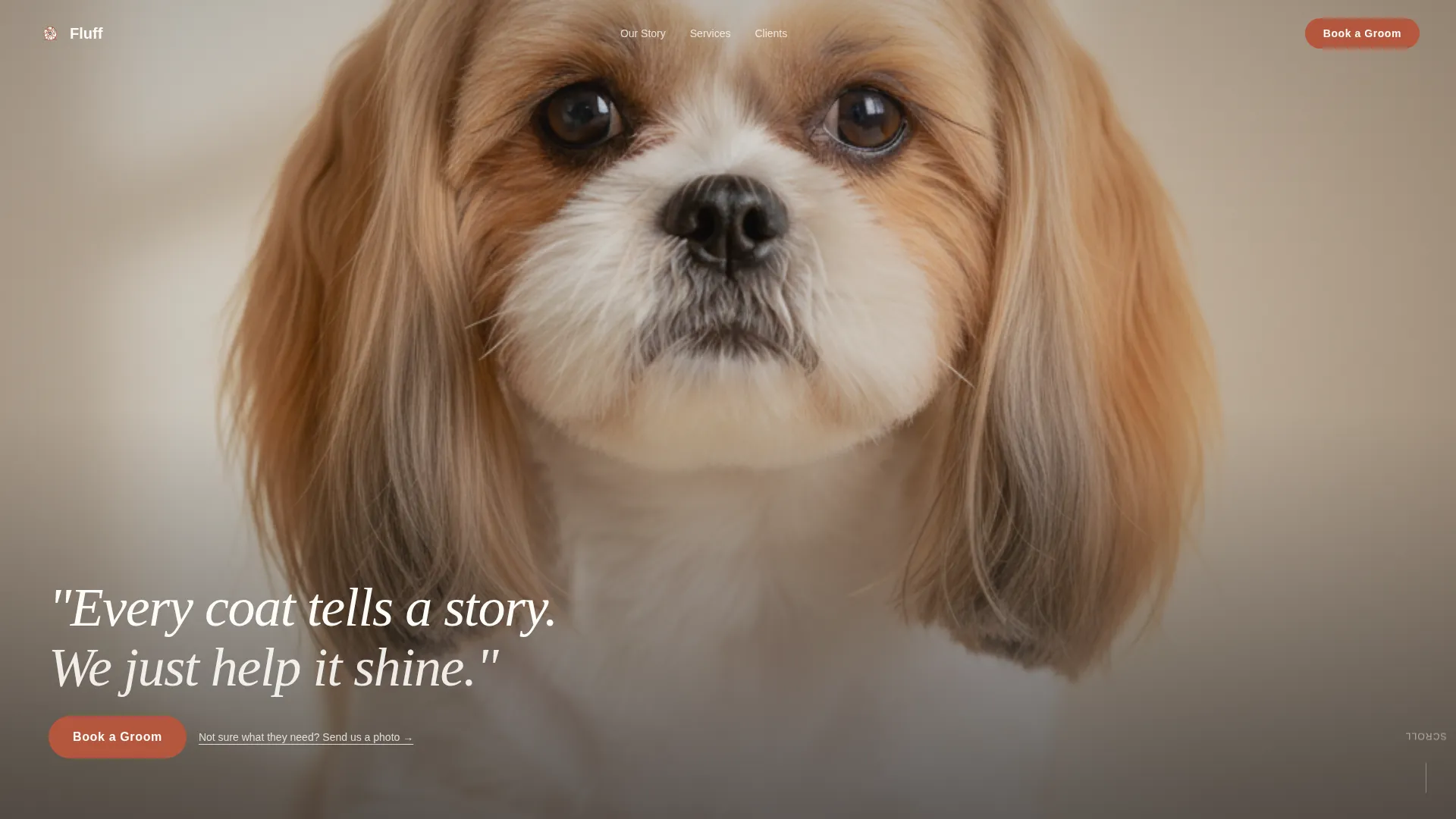 Shih Tzu Grooming Specialist Landing Page Template