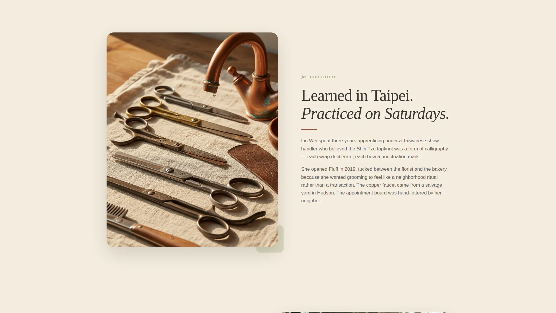 Shih Tzu Grooming Specialist Landing Page Template