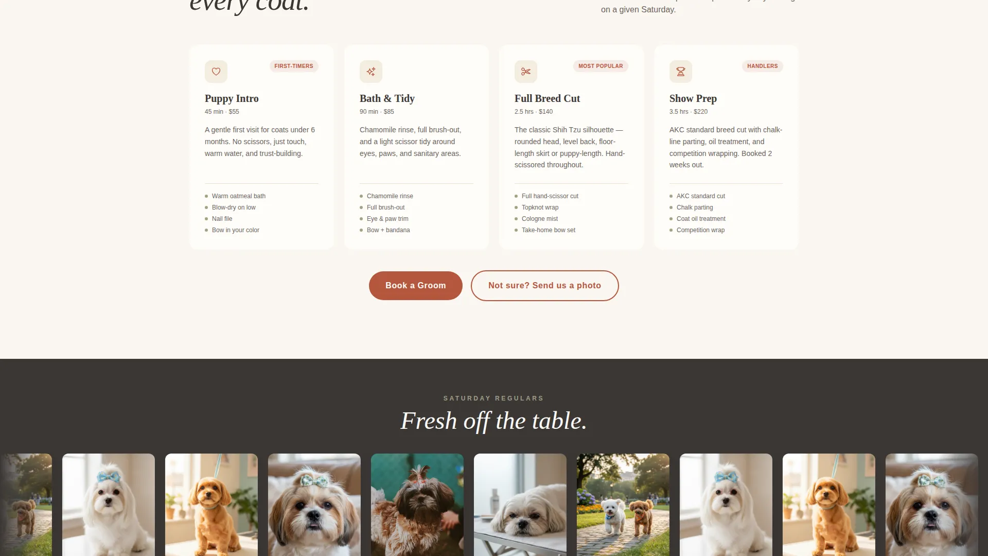 Shih Tzu Grooming Specialist Landing Page Template