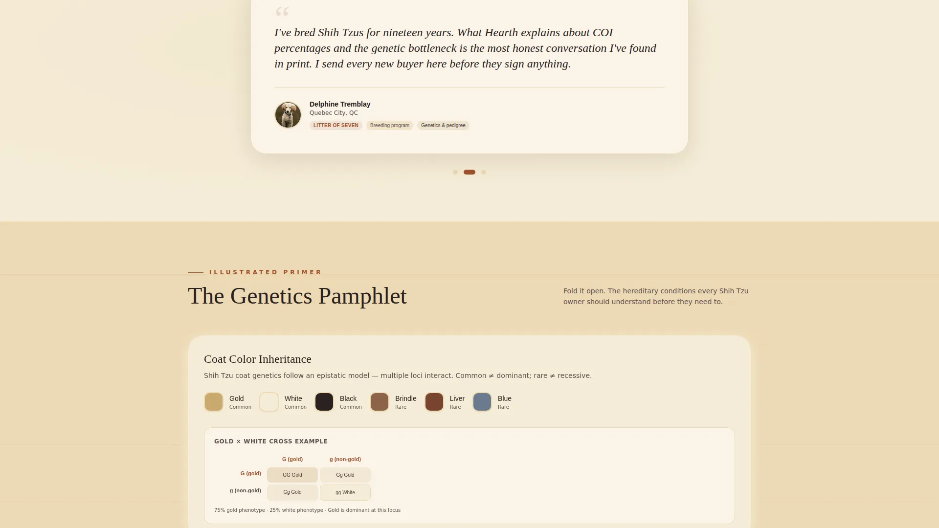 Shih Tzu Health & Genetics Blog Landing Page