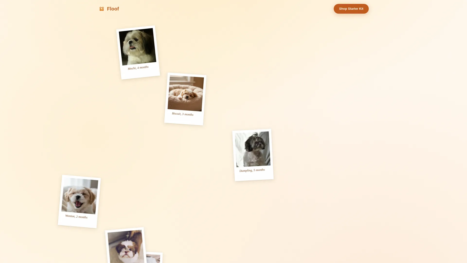 Artisan Shih Tzu Puppy Supplies Landing Page Template