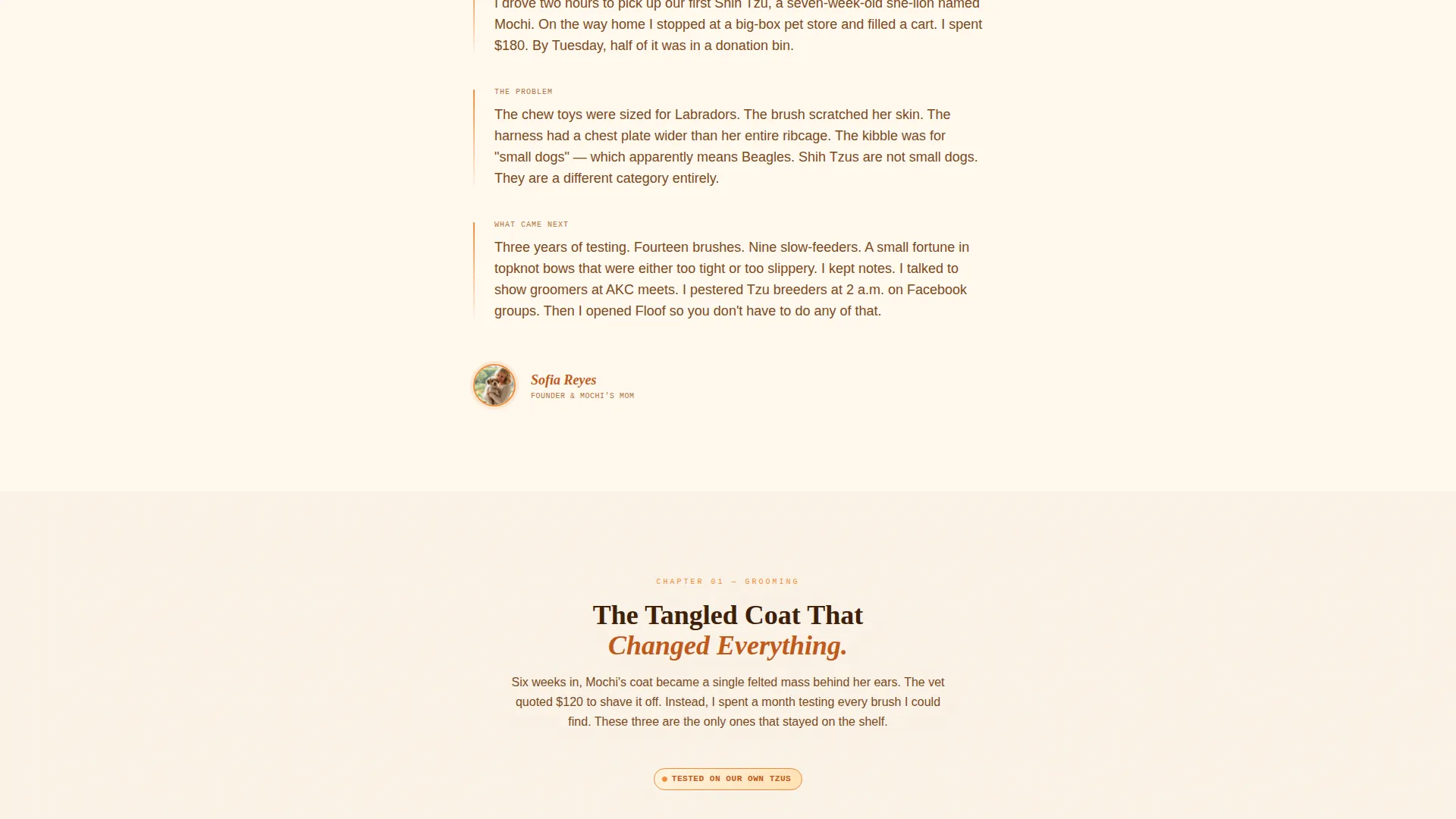 Artisan Shih Tzu Puppy Supplies Landing Page Template