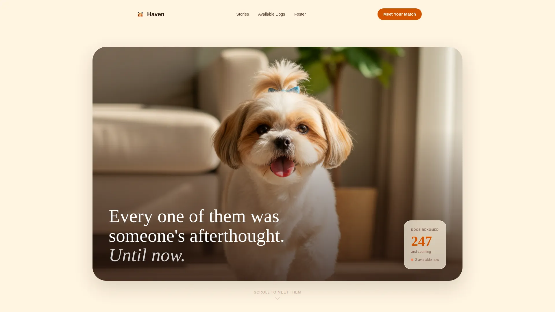 Shih Tzu Rescue & Adoption Landing Page Template