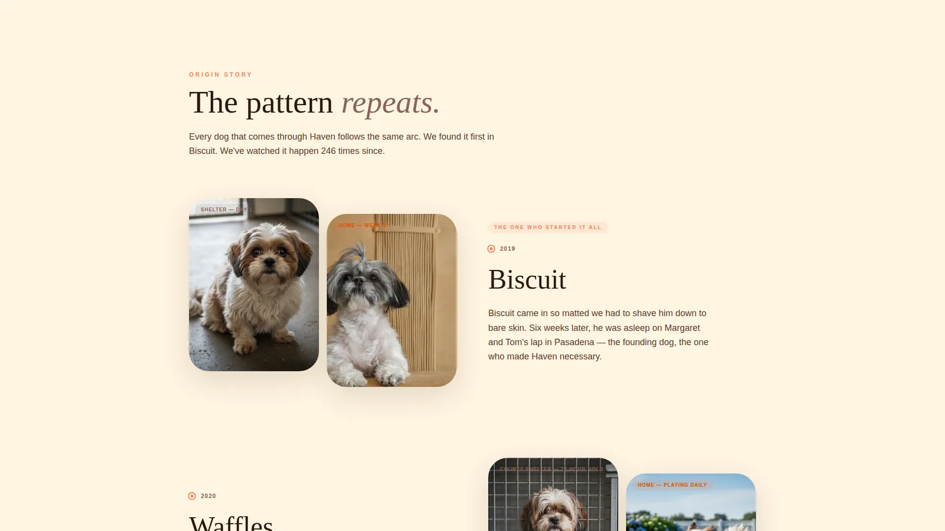 Shih Tzu Rescue & Adoption Landing Page Template