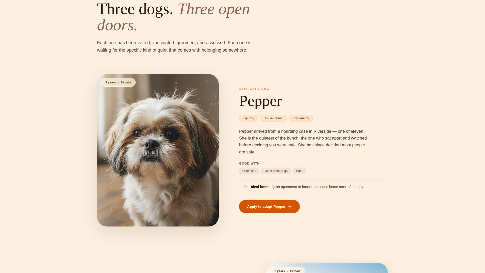 Shih Tzu Rescue & Adoption Landing Page Template